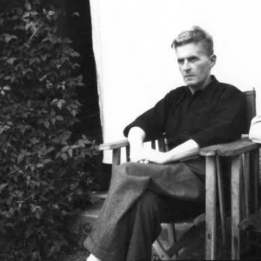Wittgenstein’s Beetle in a Box Analogy and his Investigation of Pain