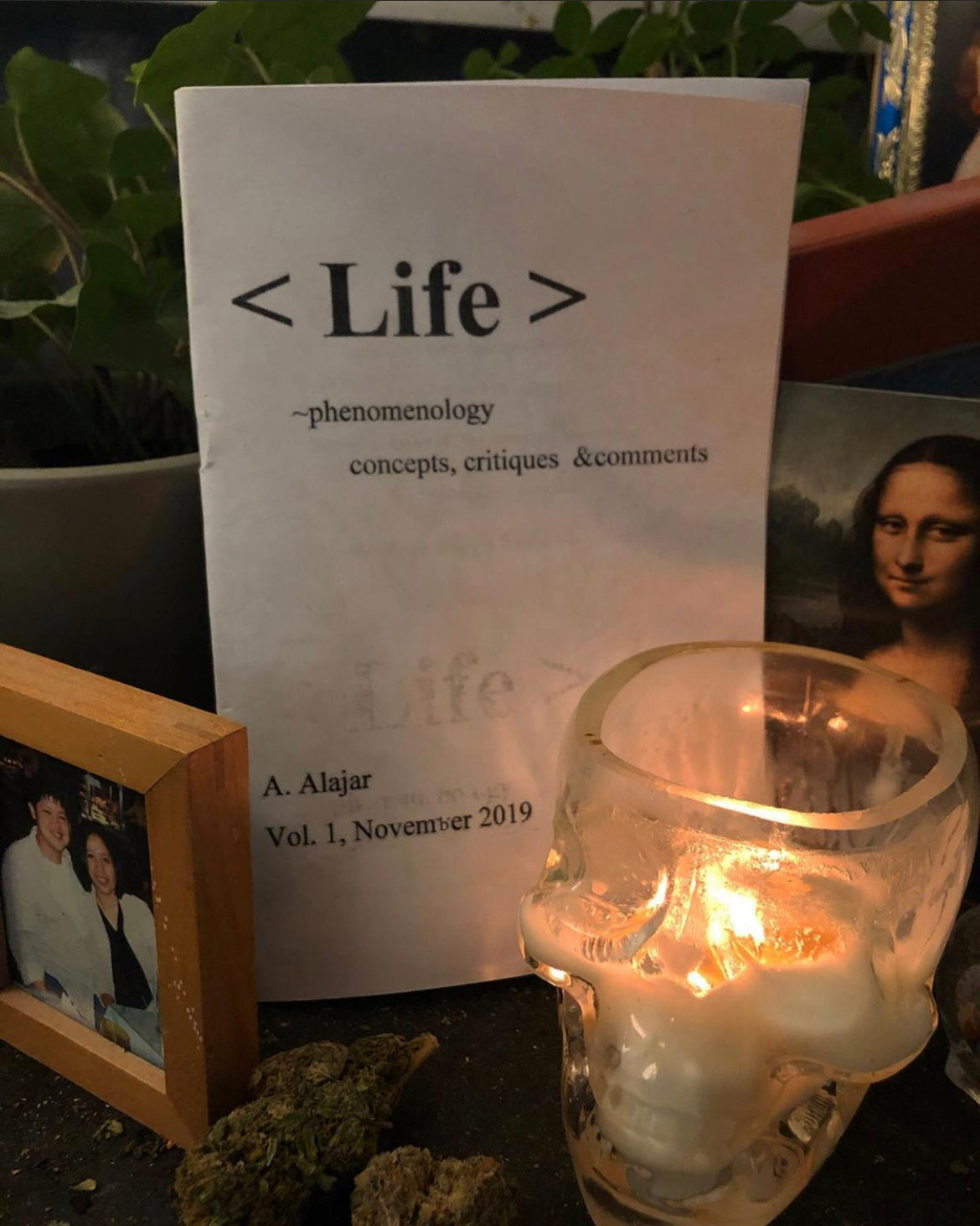 <Life> Phenomenology: concepts, critiques, & comments | Zine