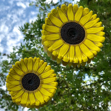 Load image into Gallery viewer, Sunflower Trinket Dish
